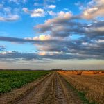 Rolniczy krajobraz - łąka i pole uprawne