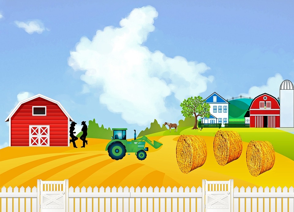 Grafika przedstawia życie na farmie